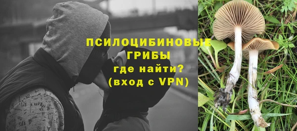 прущий лед Балахна