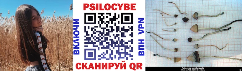 купить закладку  Курильск  мега сайт  Галлюциногенные грибы Cubensis 